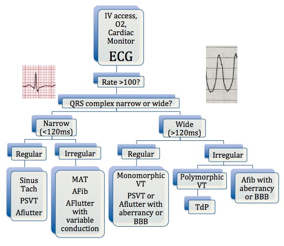 M3 Fig 1 Circulation-diagnostic-flowchart