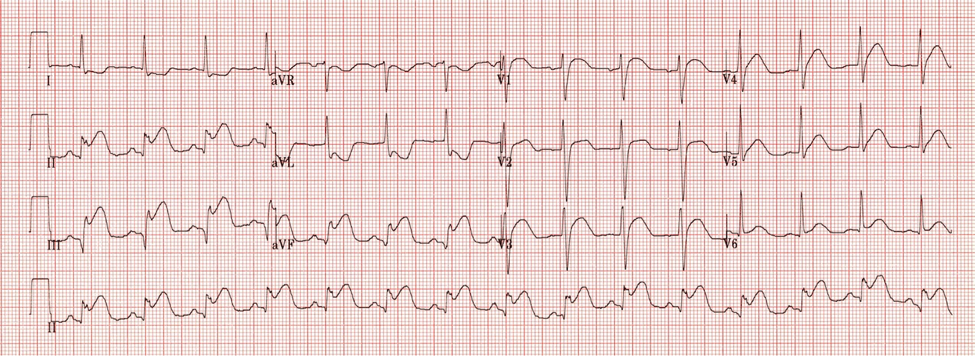 M3 Fig 1 Undifferentiated Patient